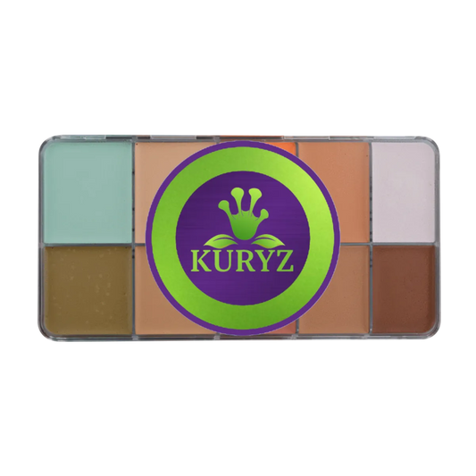 Corrector Plus Palette (10) N°HDCPC